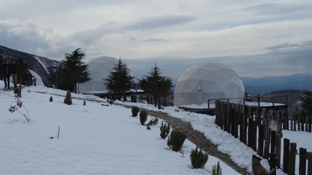 Natura Glamping v zimě