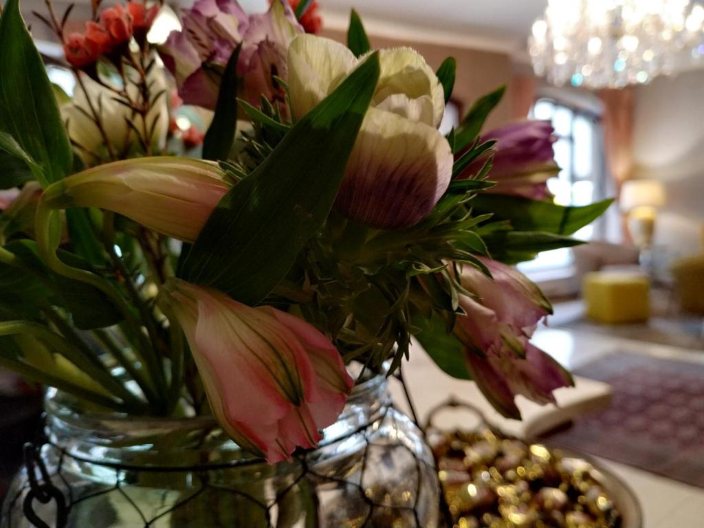 Hotel Stare Miasto Old Town - Resim 24