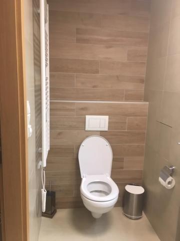 a small bathroom with a toilet in a room at Apartmán Čihadla in Bedřichov