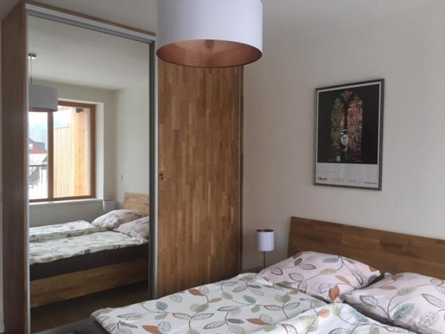 sypialnia z 2 łóżkami i dużym lustrem w obiekcie Apartmán Čihadla w mieście Bedřichov