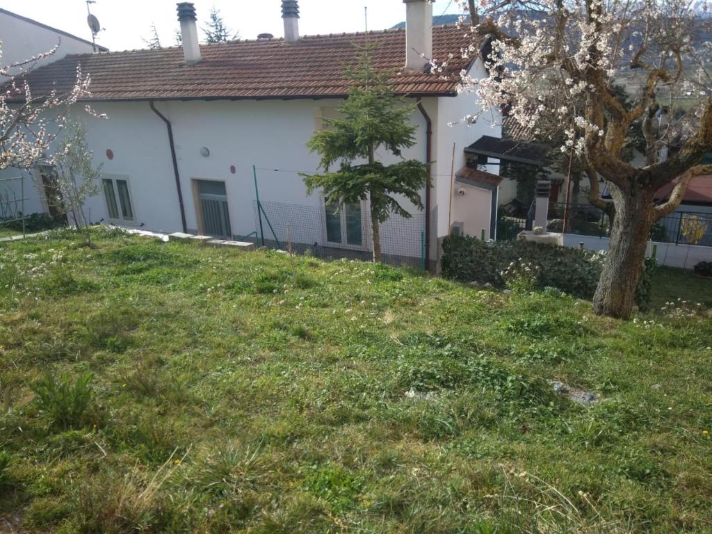 a white house with a tree in the yard at La grotta di nonno Vittorio in San Pio delle Camere