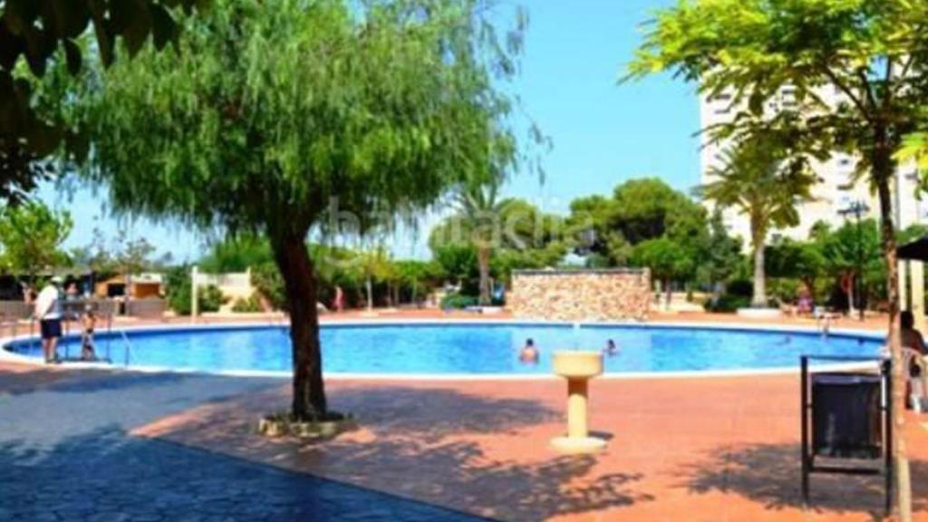 une piscine avec un arbre en face de celle-ci dans l'établissement PRIMERA LÍNEA, PISCINA, WiFi, PÁDEL y más! #1, à El Campello