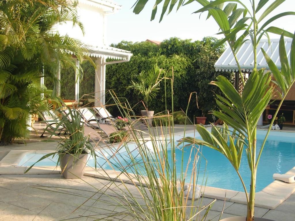 una piscina con plantas y una pérgola blanca en villa ambralini, en Saint-Pierre