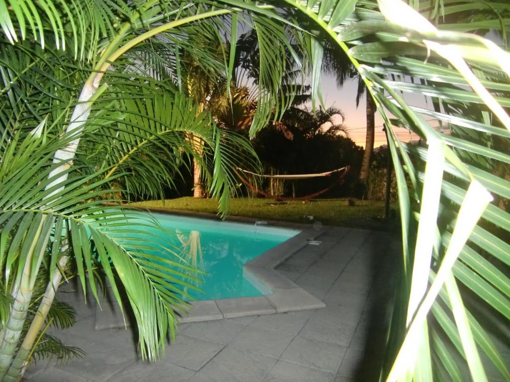 una piscina con palmeras frente a ella en villa ambralini, en Saint-Pierre