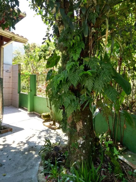  No Centro Com Vista Para O Rio