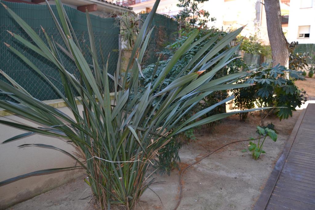 A garden outside Luminoso y amplio apartamento en Salou con piscina