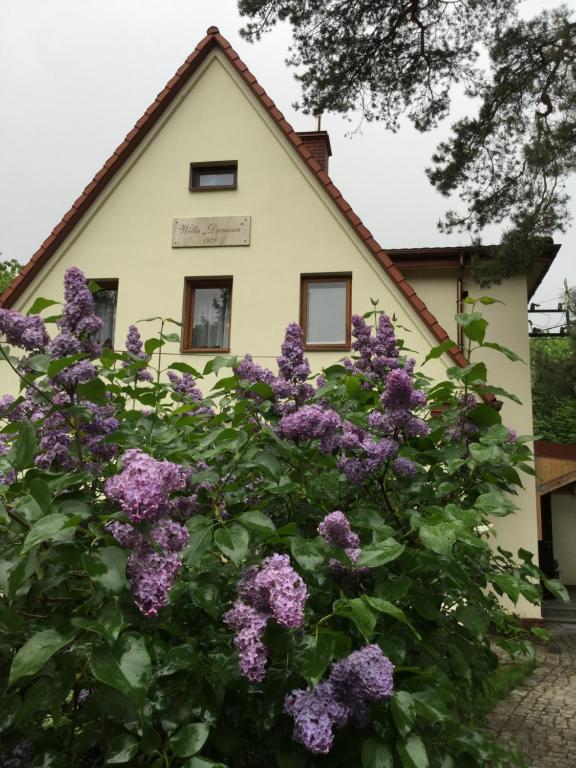 dom z fioletowymi kwiatami przed nim w obiekcie Willa Danusia w mieście Milanówek
