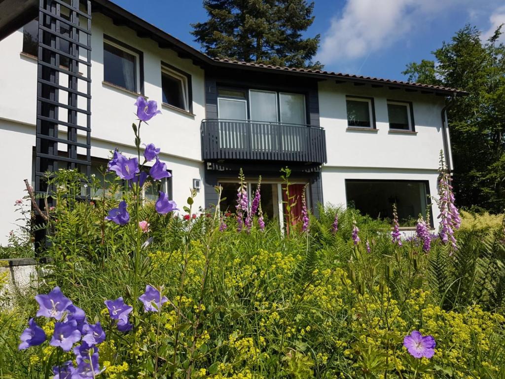 Haus am Park Stadtallendorf - Housity