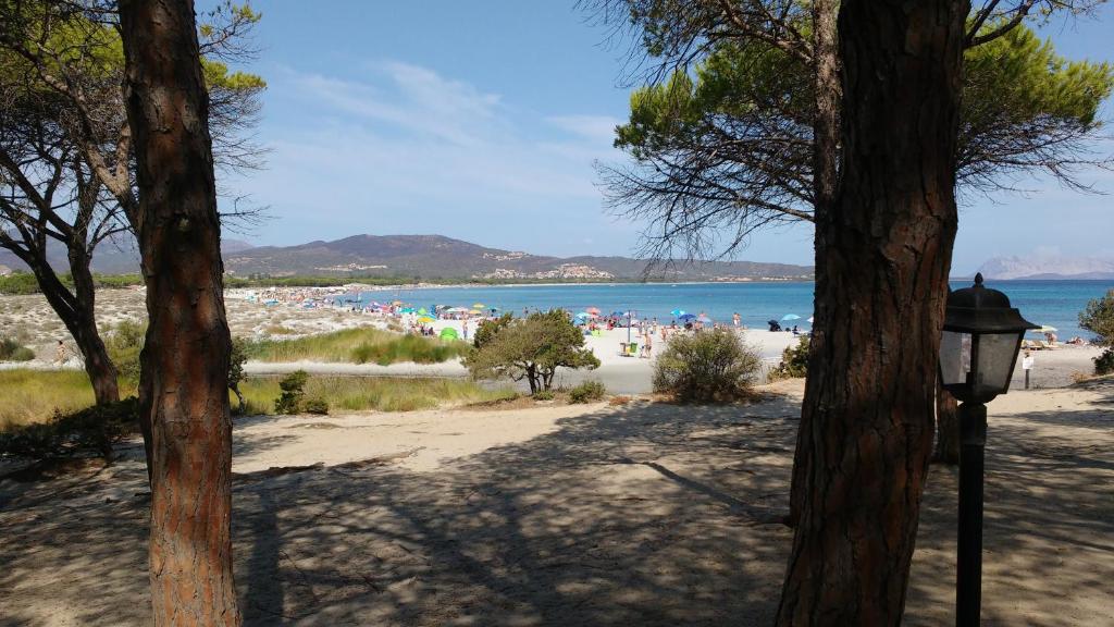 Paesaggio naturale nelle vicinanze dell'appartamento