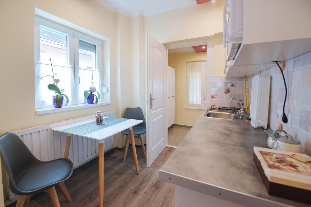 Kuchyň nebo kuchyňský kout v ubytování Jázmin Apartmanház