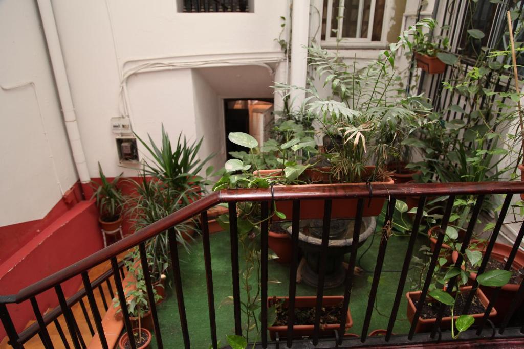 سنترال ستيشن هوستل برشلونة في برشلونة: شرفة مع مجموعة من النباتات