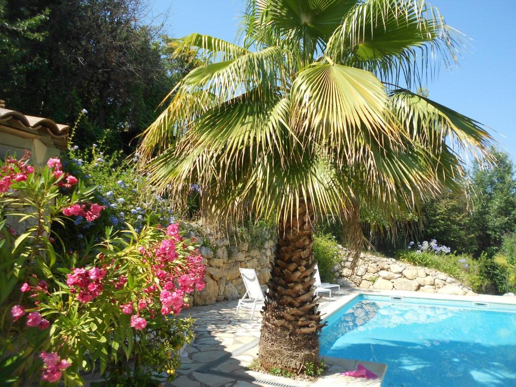 a palm tree in a garden next to a swimming pool at Le Mas de FRAYERE in Le Rouret