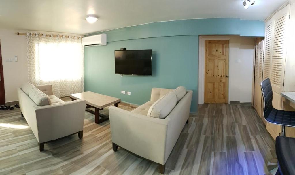 TV a/nebo společenská místnost v ubytování Cool Running Apartments