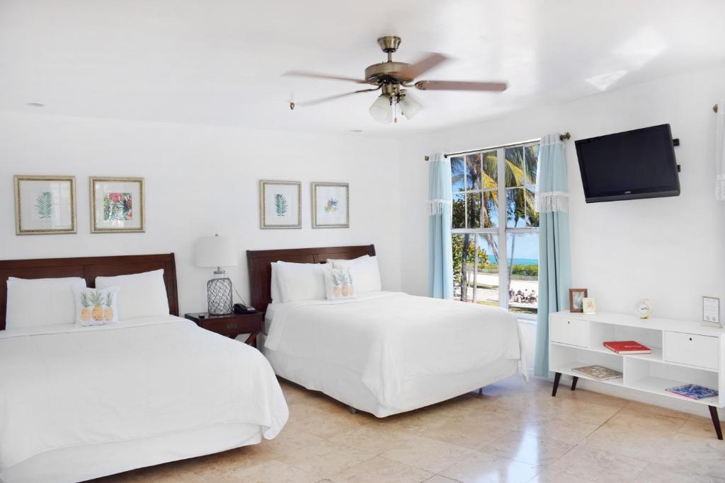 BEACH PARK HOTEL $85 ($̶2̶7̶9̶) - Updated 2023 Prices & Reviews - Miami  Beach, FL