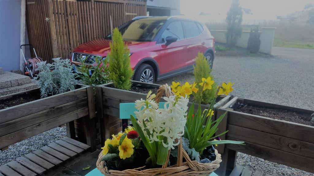 Chalet Les Lilas – photo 33