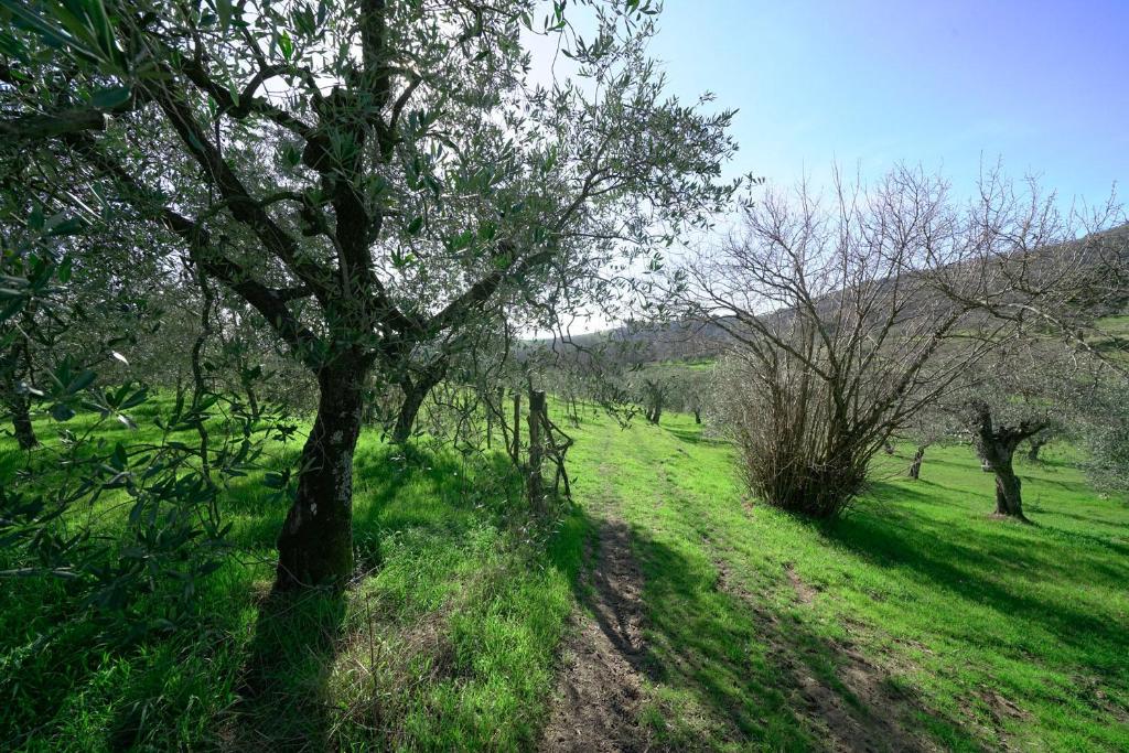 il Podere La Casina - Triple Chambre Avec Salle De Bain Privée