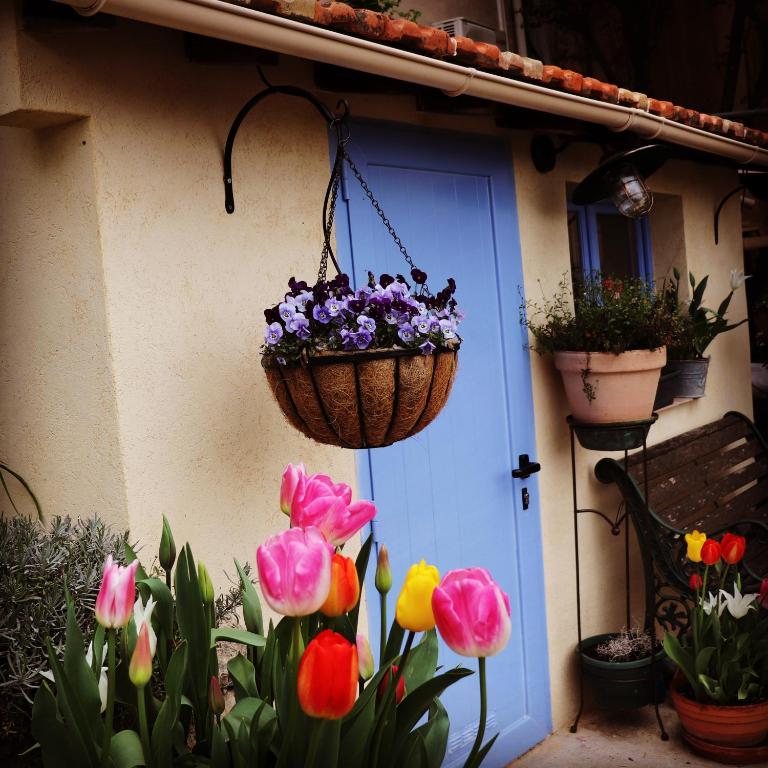 Zahrada ubytování Skylark Bed & Breakfast
