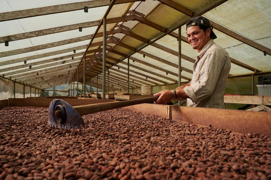 Hosté ubytování Finca Amistad Cacao Lodge