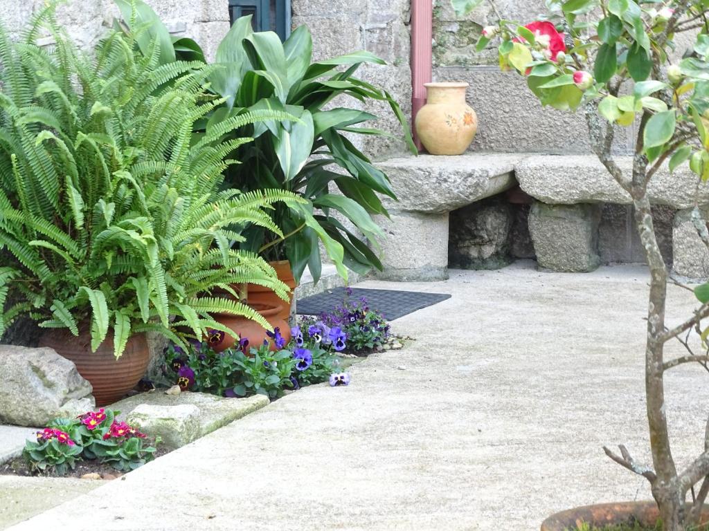 einen Garten mit Pflanzen und Blumen in Töpfen in der Unterkunft Albergue Convento Del Camino in Tui