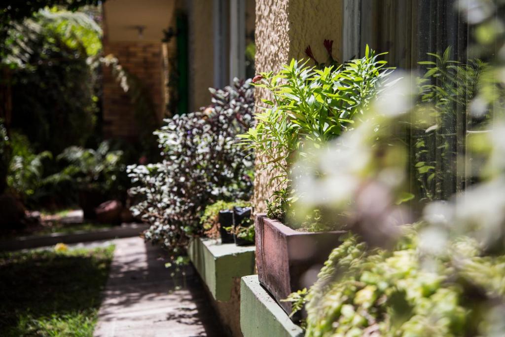 Zahrada ubytování Hostal Bogotá Real