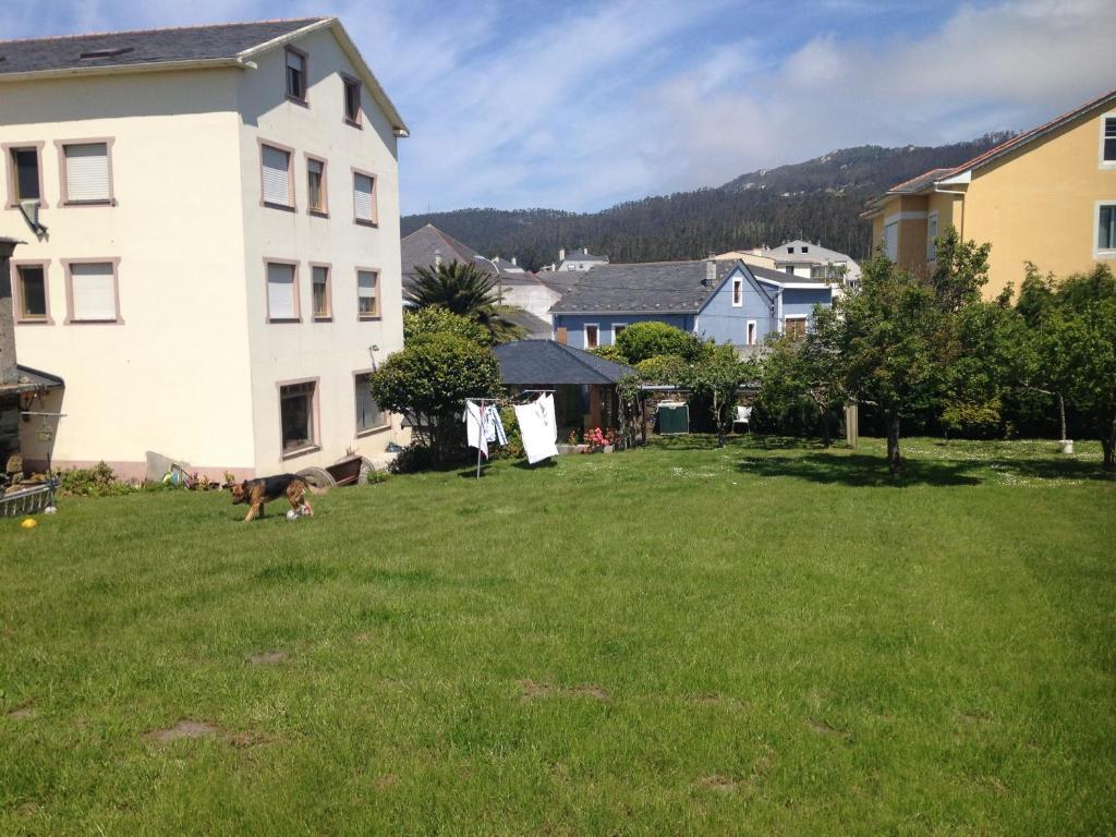 un patio con una casa y un perro en el césped en B&B O Barqueiro, en O Barqueiro