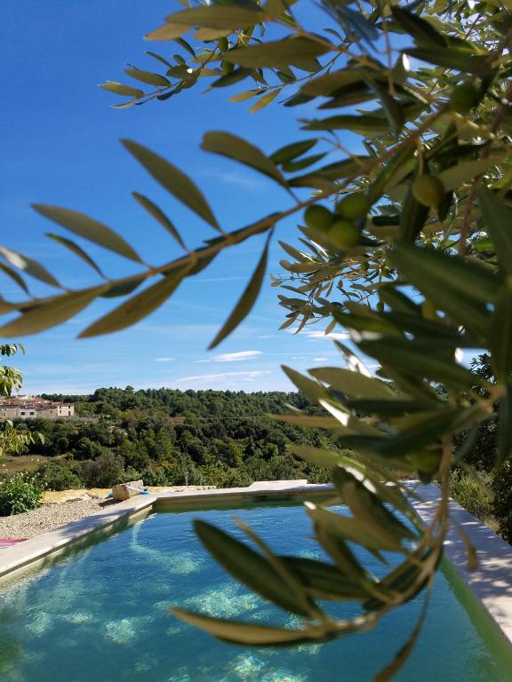 - une vue sur la piscine depuis un arbre dans l'établissement Bastide Saint Jean Baptiste, à Baudinard