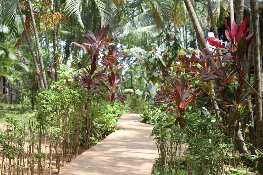 En hage utenfor mame trees