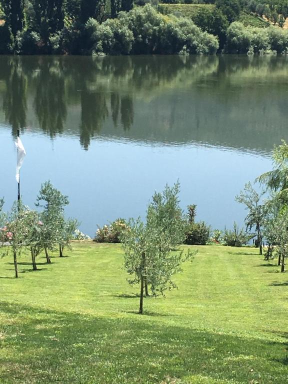 un parque con árboles y un cuerpo de agua en Casa da Horta, en Peso da Régua