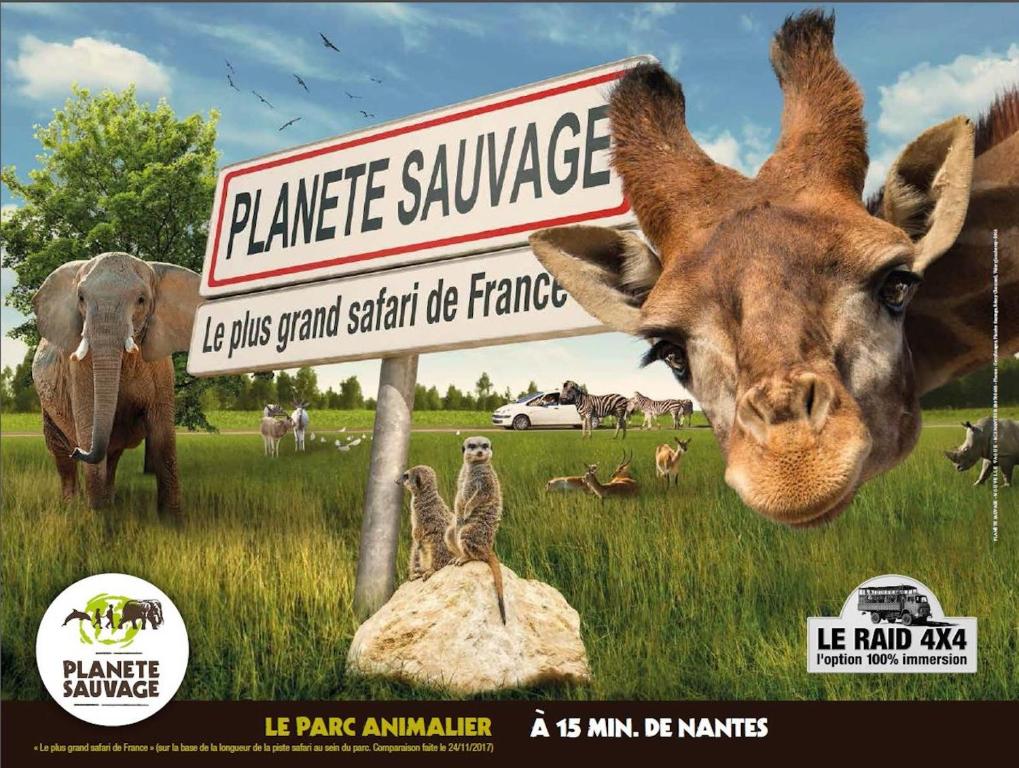 a giraffe standing next to a sign in a field at La Courtoise &quot;Chez Gustine&quot; in La Marne