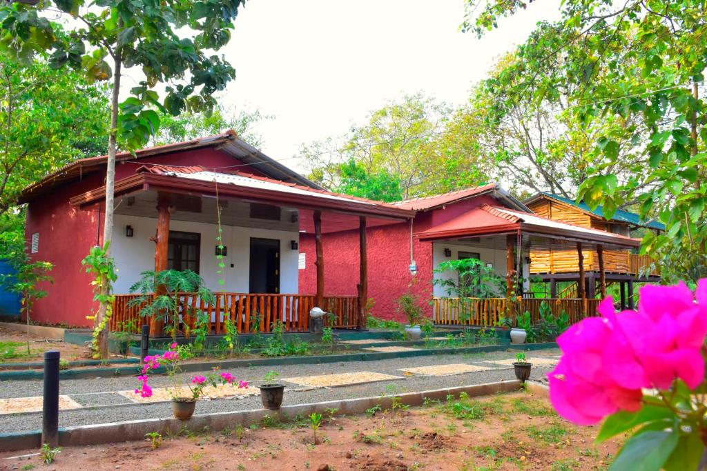 La Casa Safari Resort - 16