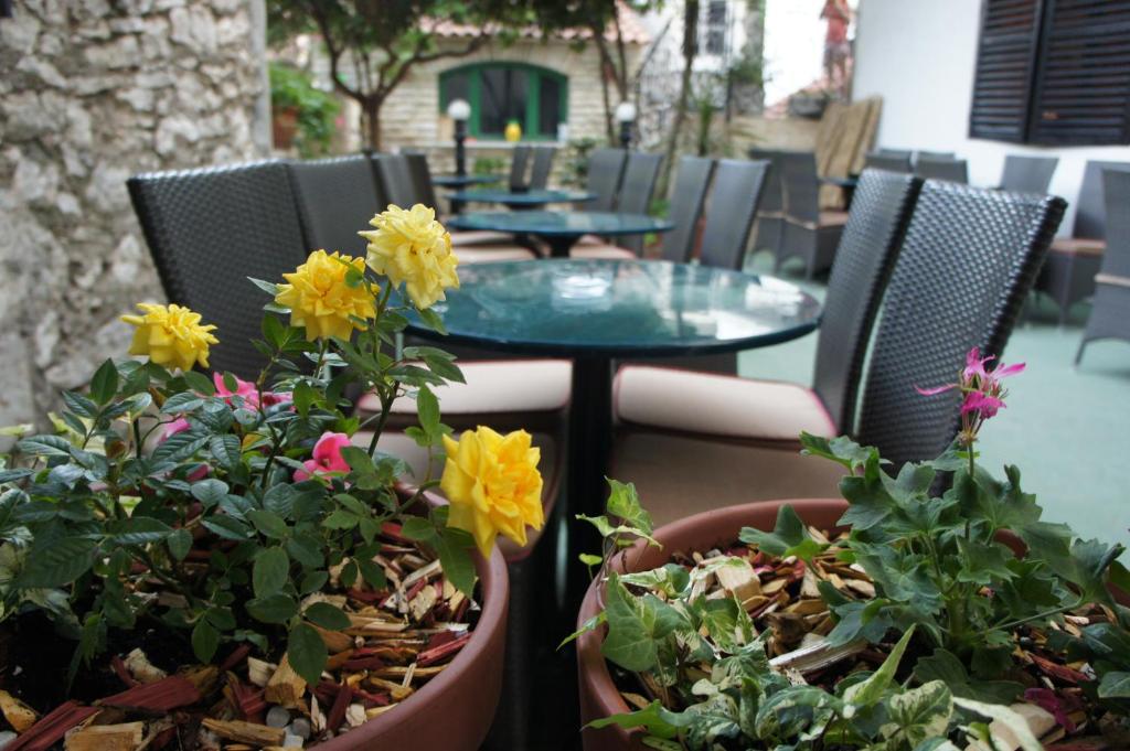 Zahrada ubytování Hostel Splendido