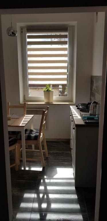 Kuchyňa alebo kuchynka v ubytovaní Apartament Bernadett