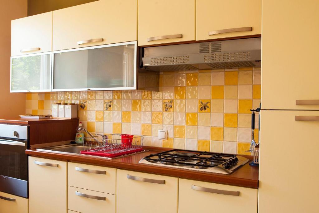 Kuchnia lub aneks kuchenny w obiekcie Apartments Delić