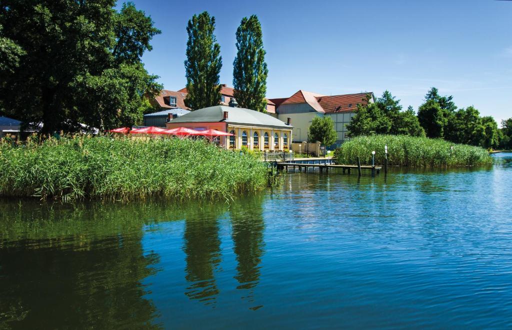 a view of a river with a building in the background at Seepavillon Rheinsberg in Rheinsberg