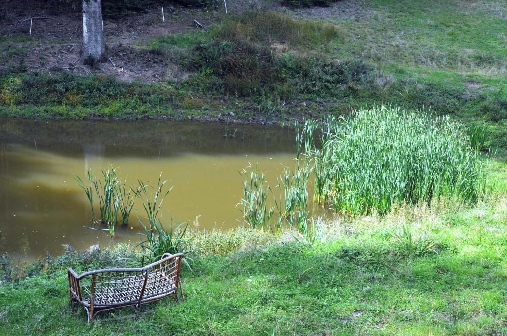 Výhled na řeku, která protéká v blízkosti penzionu
