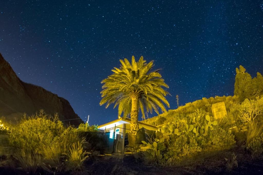 una palmera frente a una casa por la noche en Vivienda Vacacional CANOPO, en El Pie de la Cuesta