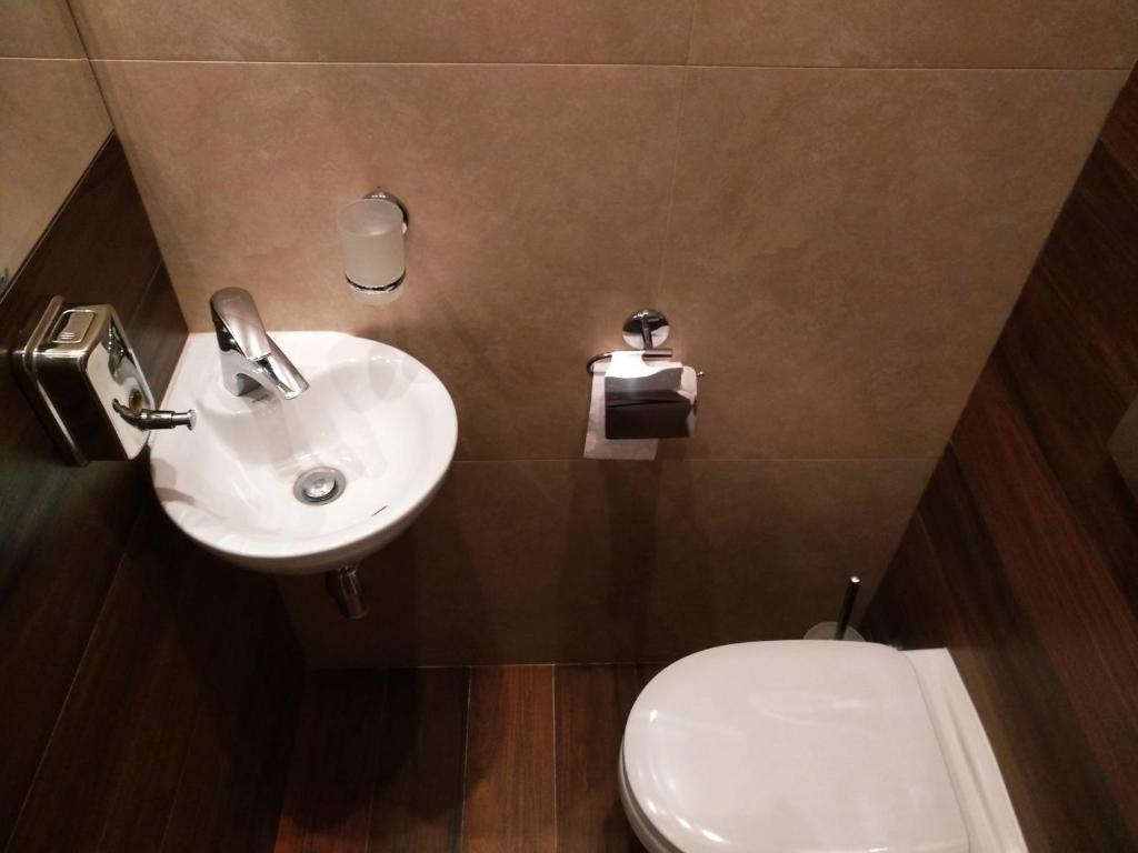 Koupelna v ubytování Belokorichi
