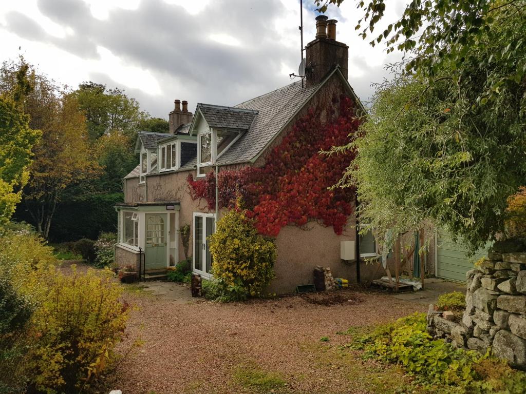 a house covered in ivy at Smithy Cottage in Kirkmichael
