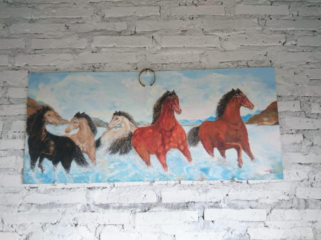 Zvířata v ubytování v soukromí nebo okolí