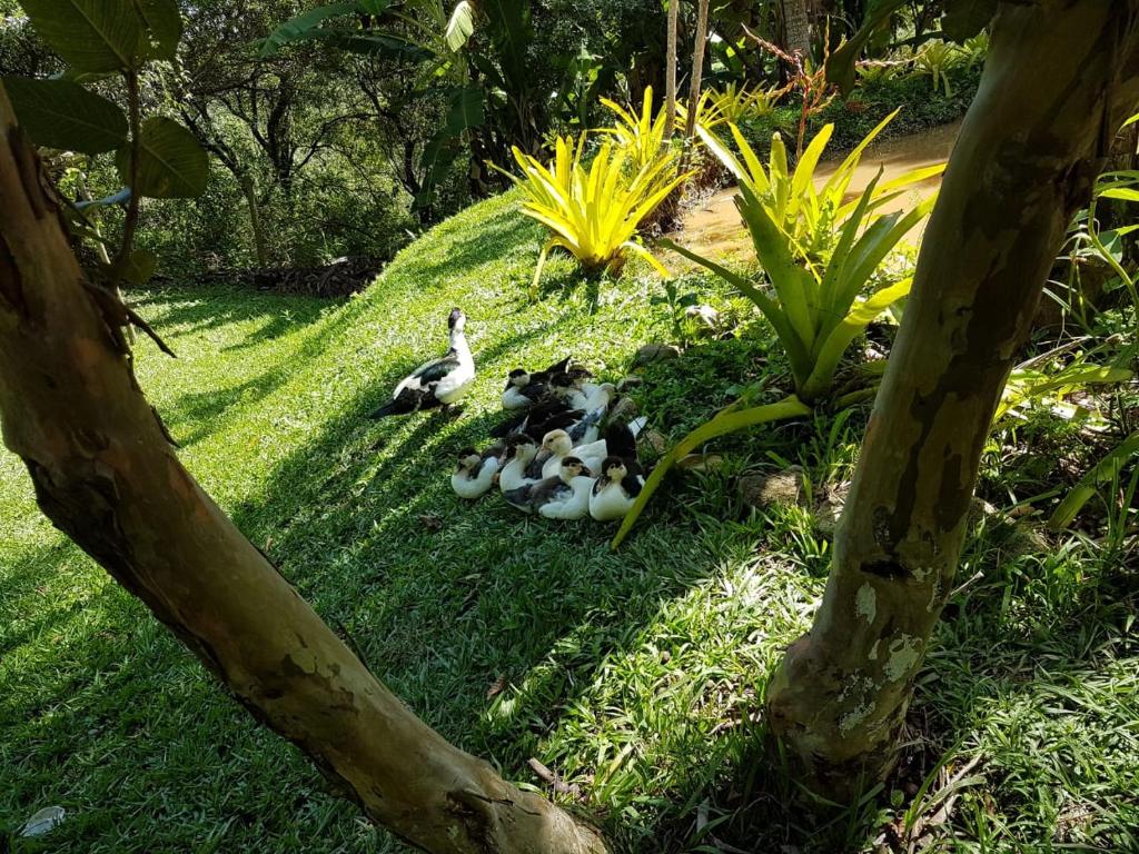  Pousada Rancho Flores