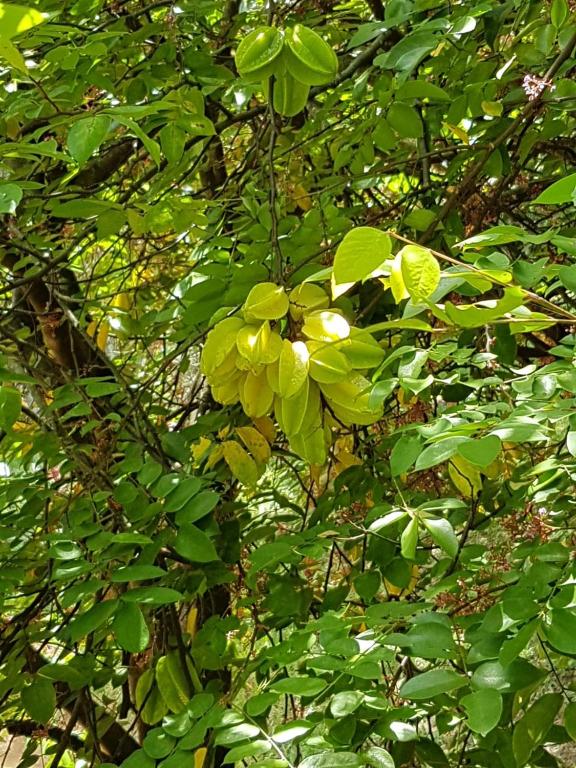  Pousada Rancho Flores