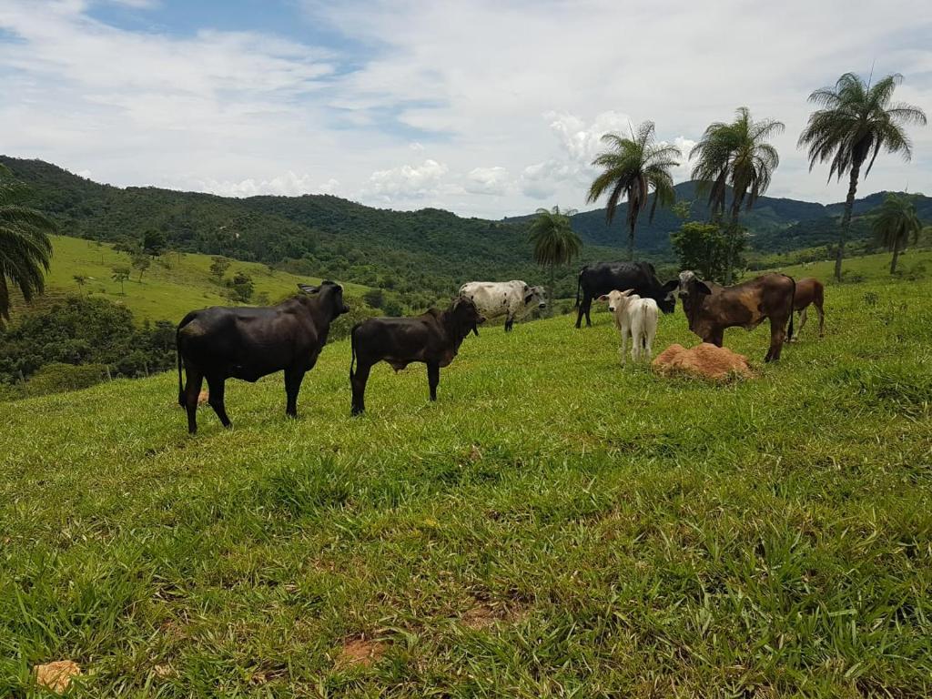  Pousada Rancho Flores