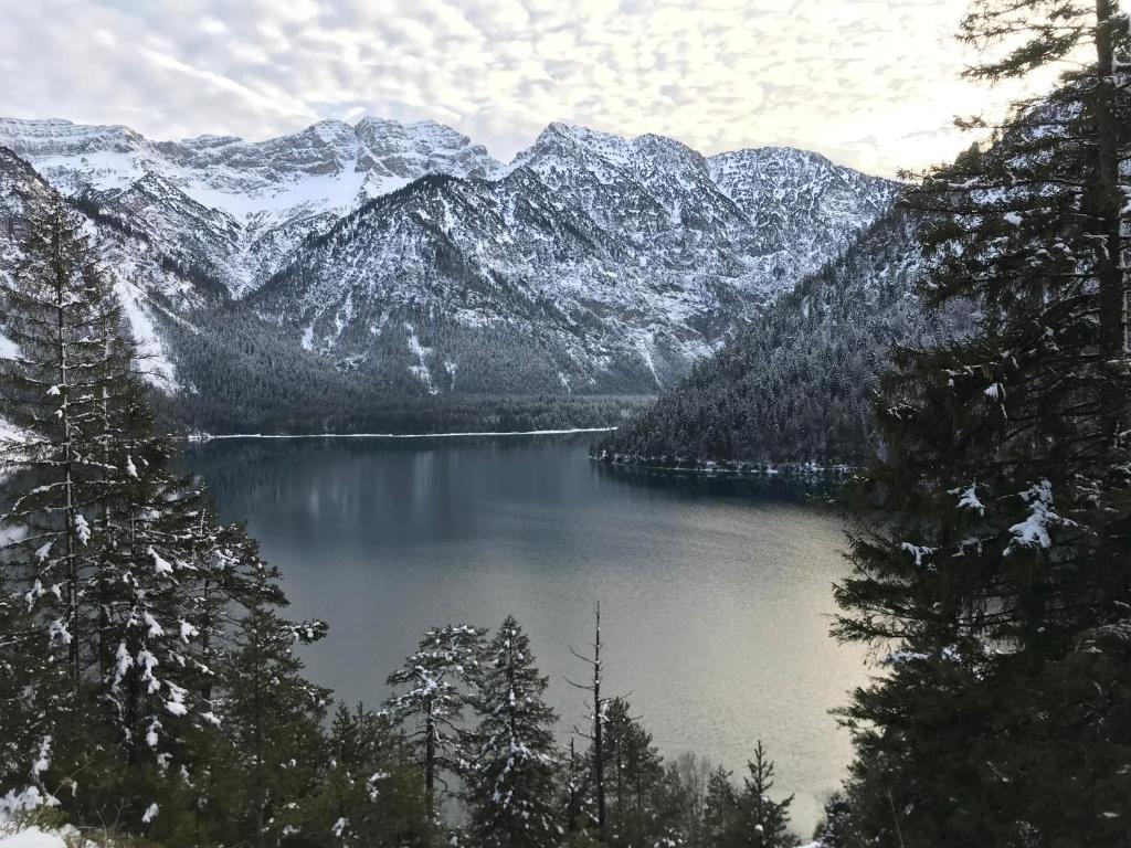 羅伊特的住宿－Haus Hämmerle，享有带雪覆盖山脉的湖泊美景。