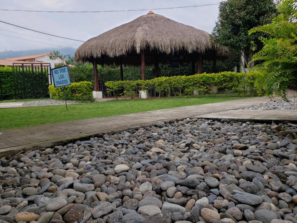 Příroda nedaleko hotelu