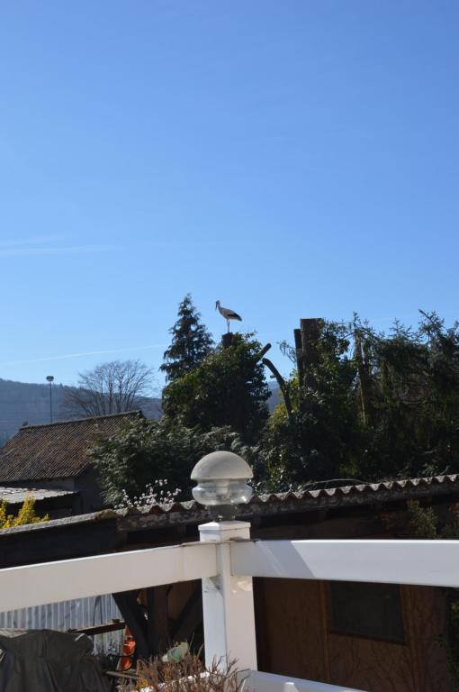 Gîte Les Glycines 68230 TURCKHEIM – photo 10