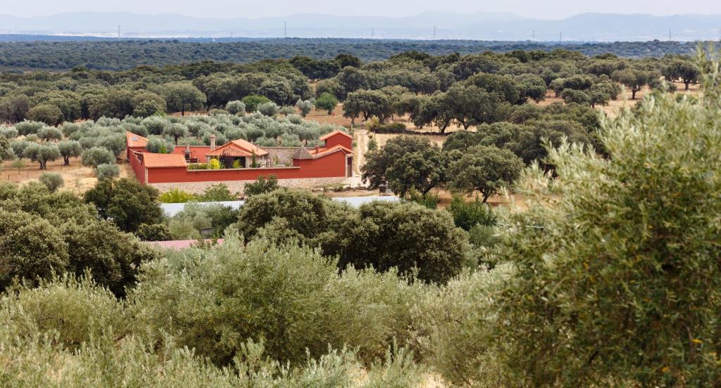 a house in the middle of a field with trees at La Costanilla de los Angeles in Navalcán