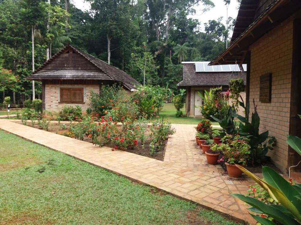 ATTA Rainforest Lodge