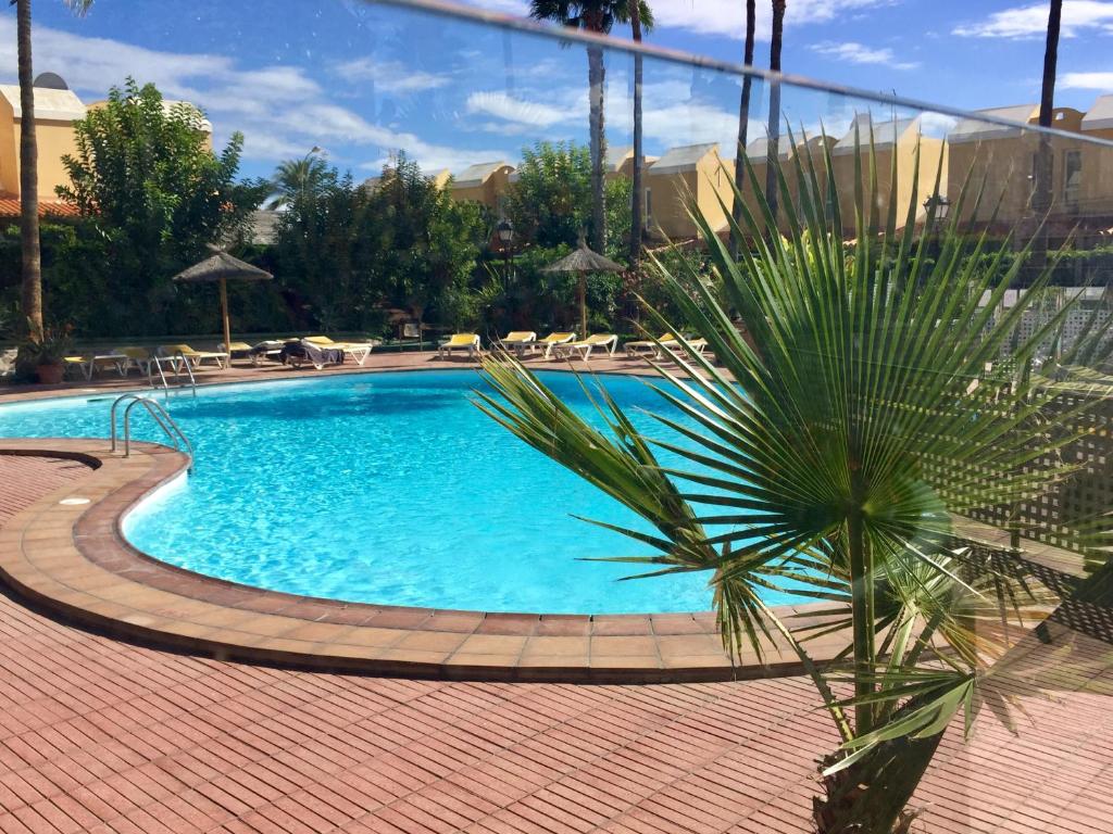 uma grande piscina com uma palmeira ao lado em Sun Dream Bungalow em San Bartolomé