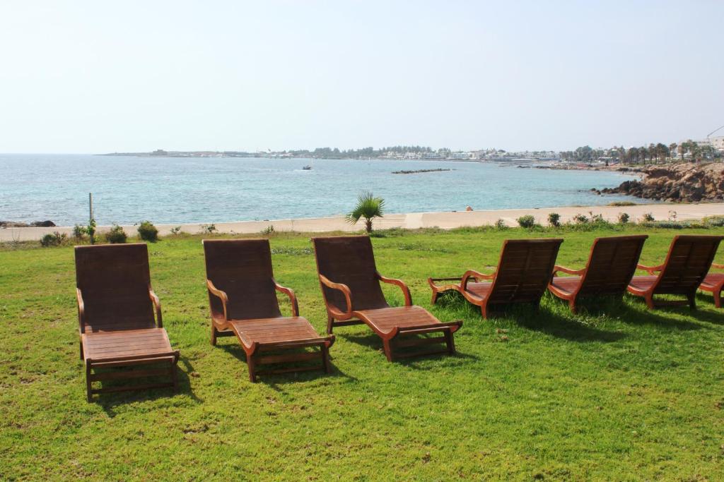 a group of chairs sitting in the grass near the beach at Amphora Hotel & Suites in Paphos