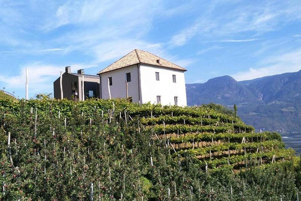 ラーナにあるHerrenhaus am Grüblの高台の白い建物